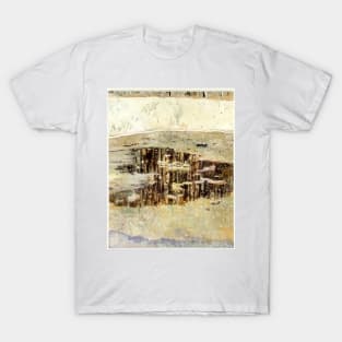 window pane 1993 T-Shirt